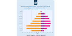 Government of the Netherlands chart
